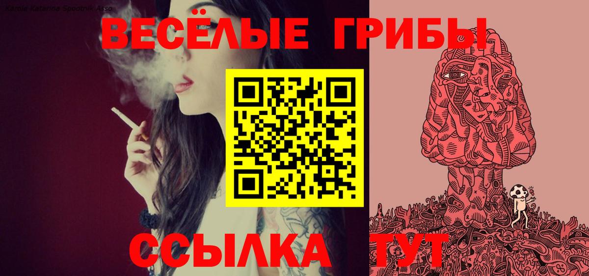 Псилоцибиновые грибы мицелий Узловая